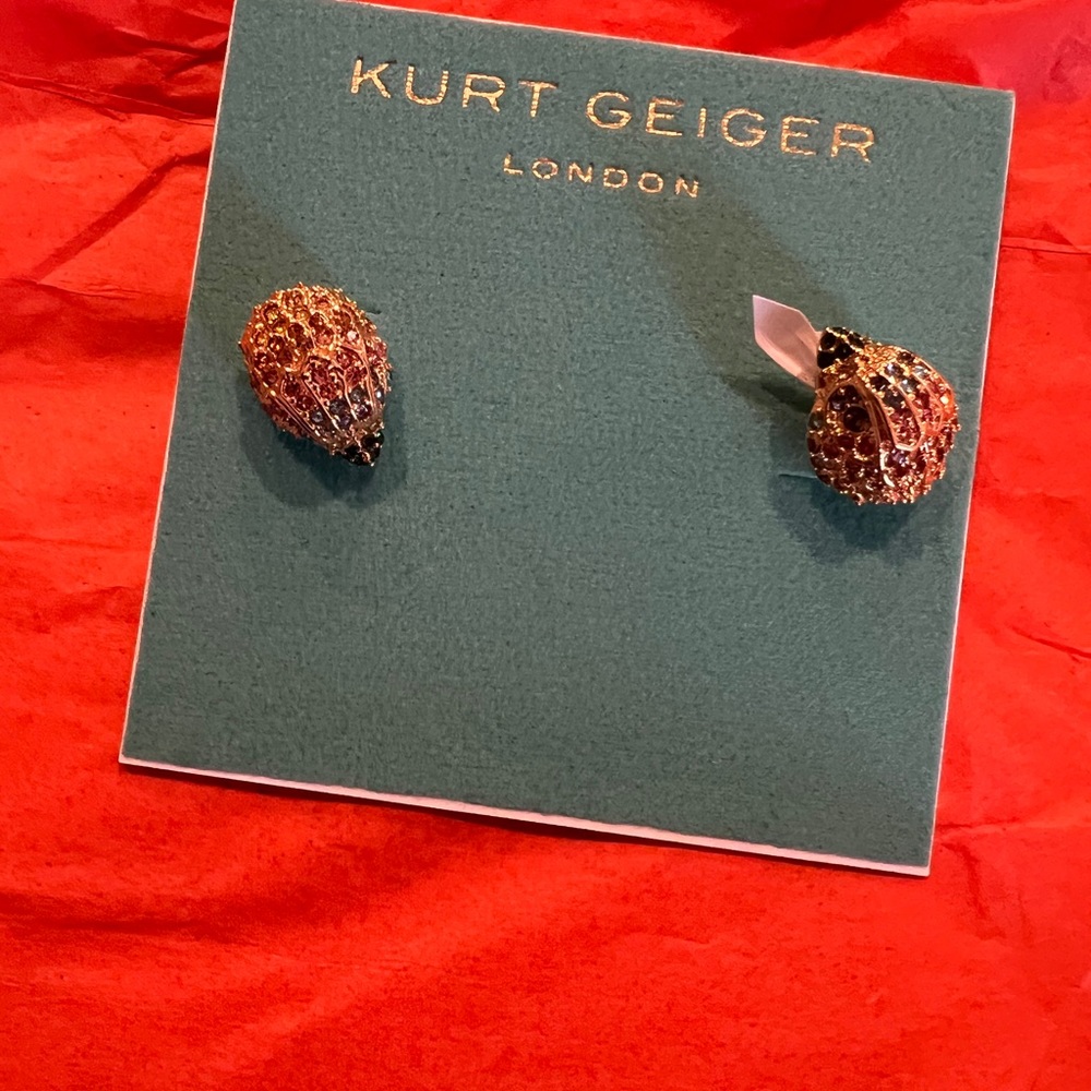Kurt Geiger Gold Earrings